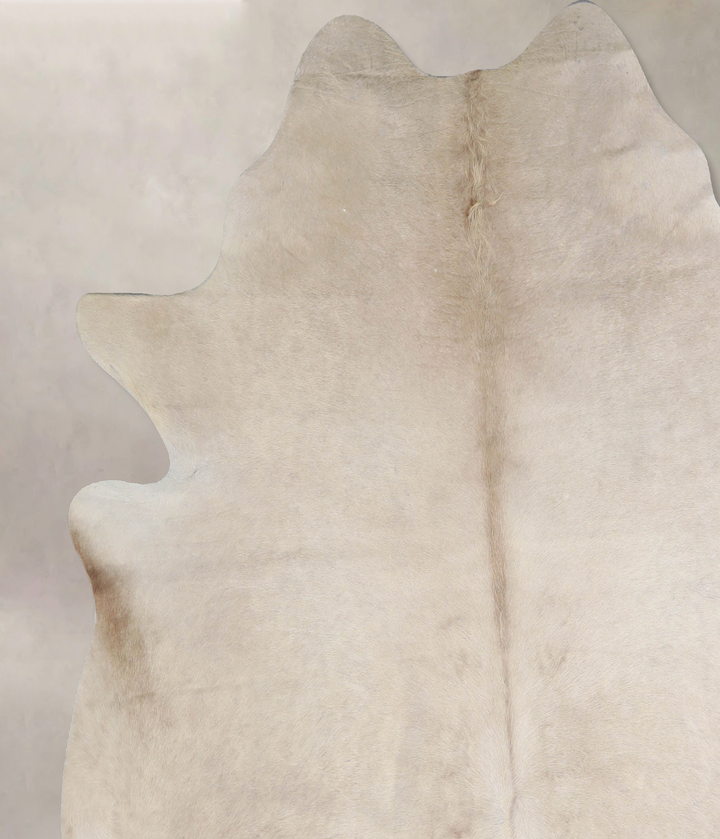 Champagne X-Large Brazilian Cowhide Rug 6'11"H x 6'10"W #A33783 by Hudson Hides
