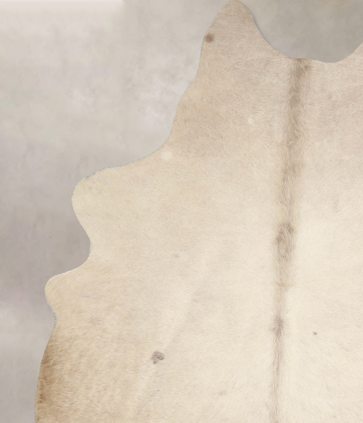 Champagne X-Large Brazilian Cowhide Rug 6'11"H x 5'10"W #A33793 by Hudson Hides