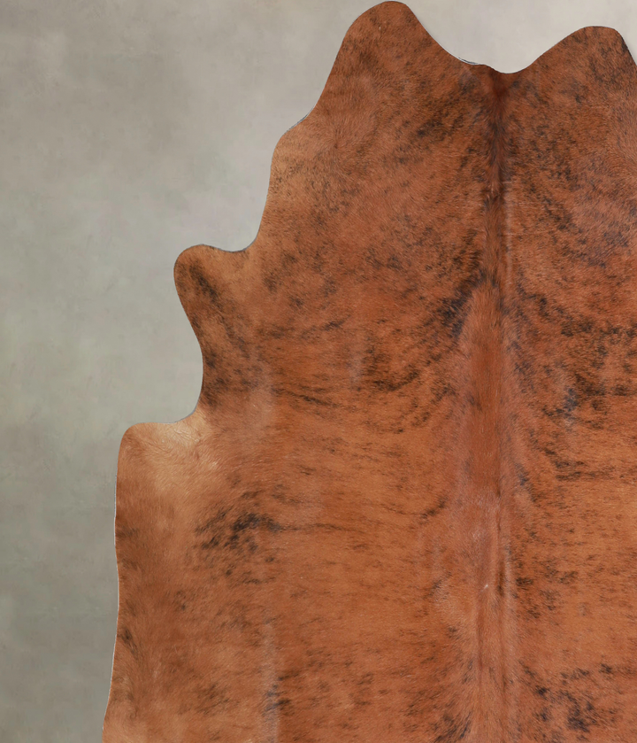 Medium Brindle X-Large Brazilian Cowhide Rug 6'10"H x 6'11"W #A33835 by Hudson Hides