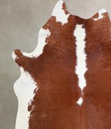 Hereford X-Large Brazilian Cowhide Rug 6'9"H x 6'6"W #A33940 by Hudson Hides