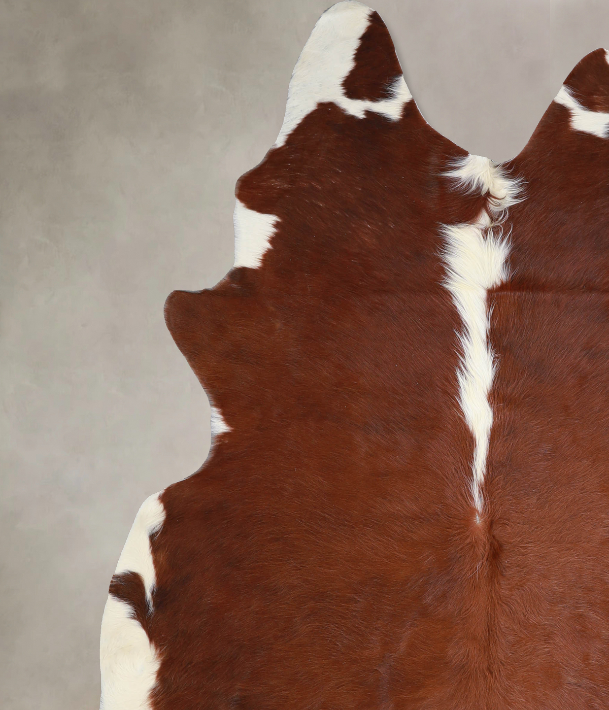 Hereford X-Large Brazilian Cowhide Rug 7'2"H x 6'4"W #A33942 by Hudson Hides