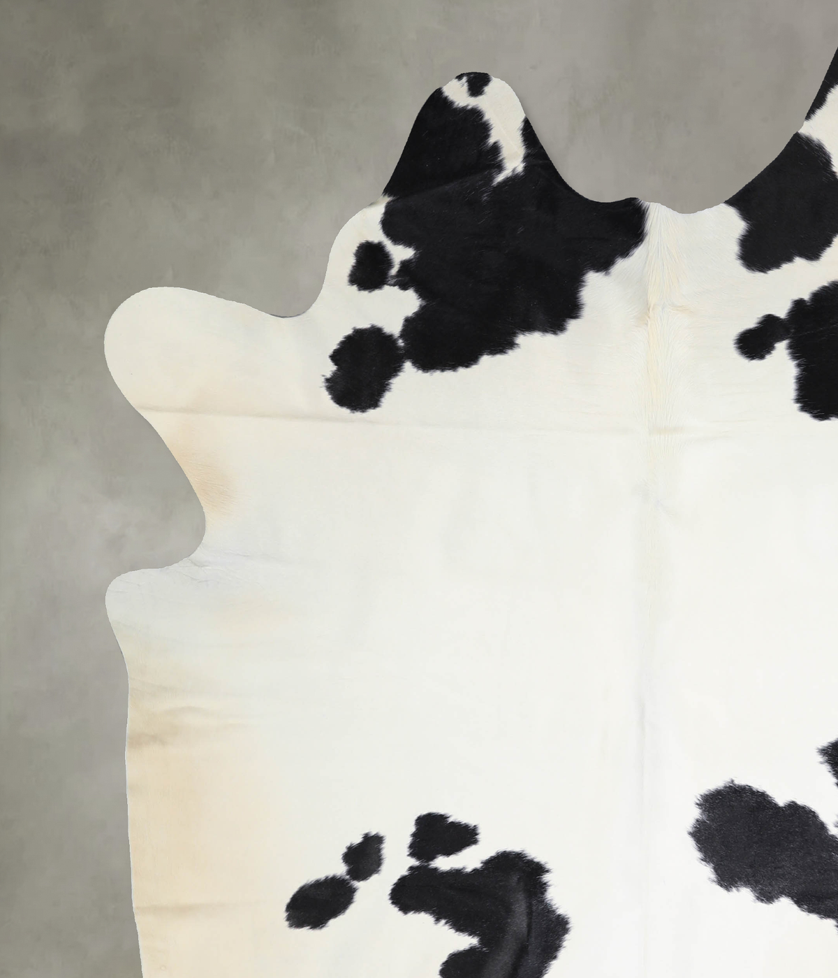 Black and White XX-Large Brazilian Cowhide Rug 7'6"H x 6'8"W #A33979 by Hudson Hides