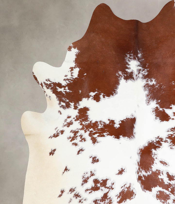 Brown and White X-Large Brazilian Cowhide Rug 6'9"H x 6'2"W #A33998 by Hudson Hides