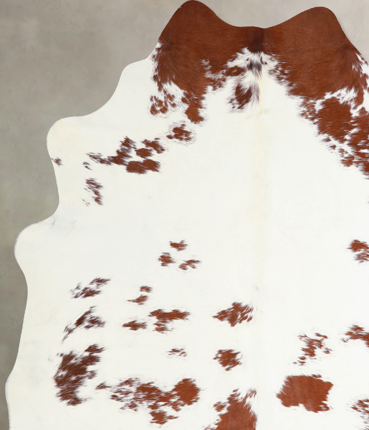 Brown and White X-Large Brazilian Cowhide Rug 6'11"H x 6'1"W #A34024 by Hudson Hides