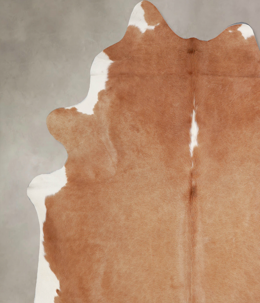 Brown and White Regular XX-Large Brazilian Cowhide Rug 7'7"H x 6'11"W 