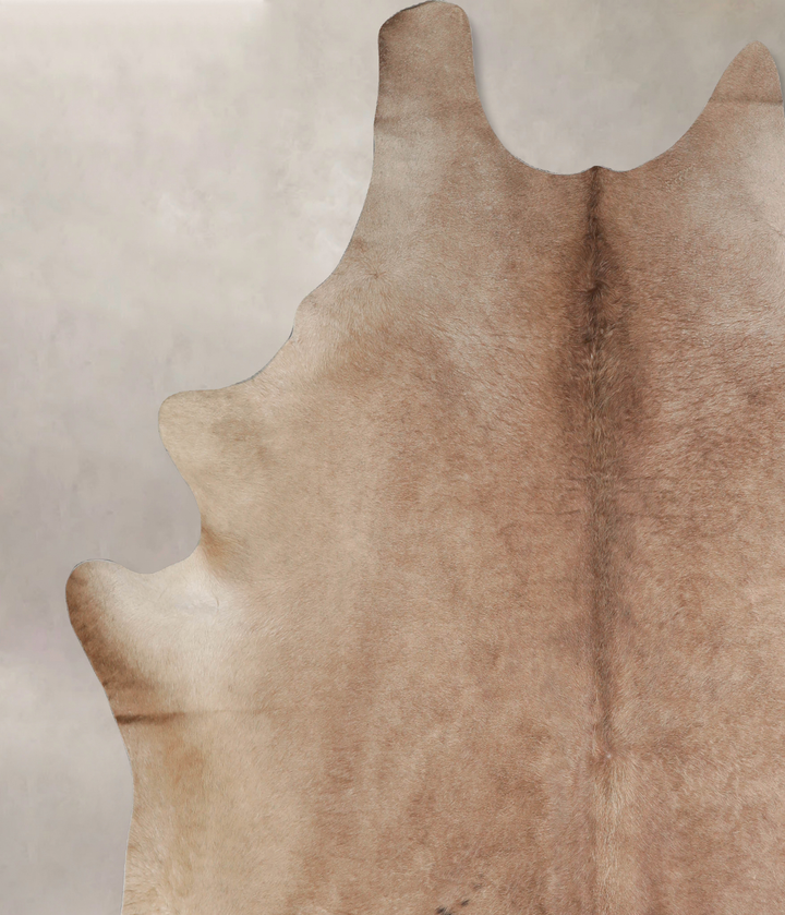 Taupe XX-Large Brazilian Cowhide Rug 8'0"H x 7'4"W #A34274 by Hudson Hides