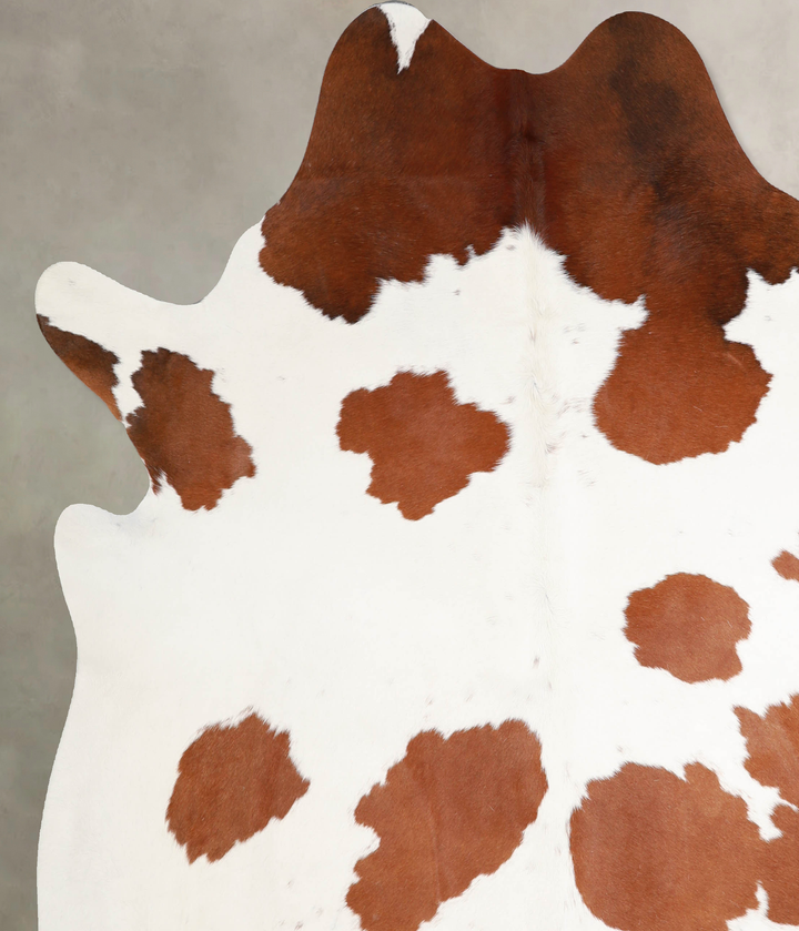 Brown and White XX-Large Brazilian Cowhide Rug 7'5"H x 6'10"W #A34303 by Hudson Hides