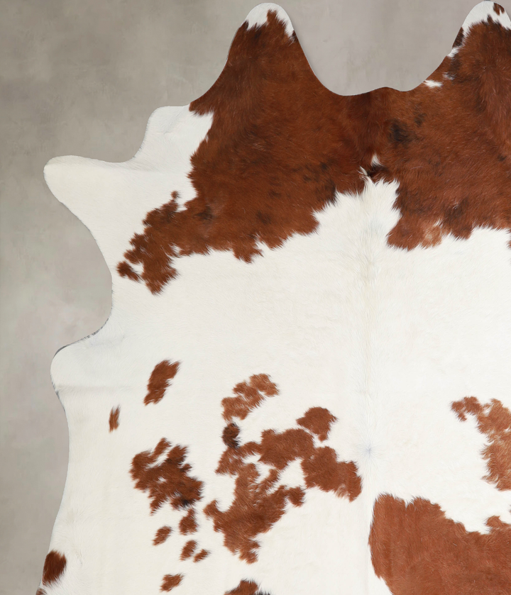 Brown and White XX-Large Brazilian Cowhide Rug 7'10"H x 7'7"W #A34307 by Hudson Hides