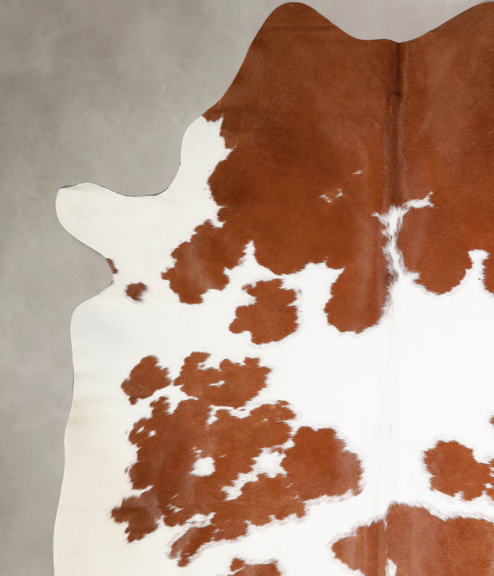 Brown and White XX-Large Brazilian Cowhide Rug 8'0"H x 6'10"W #A34344 by Hudson Hides