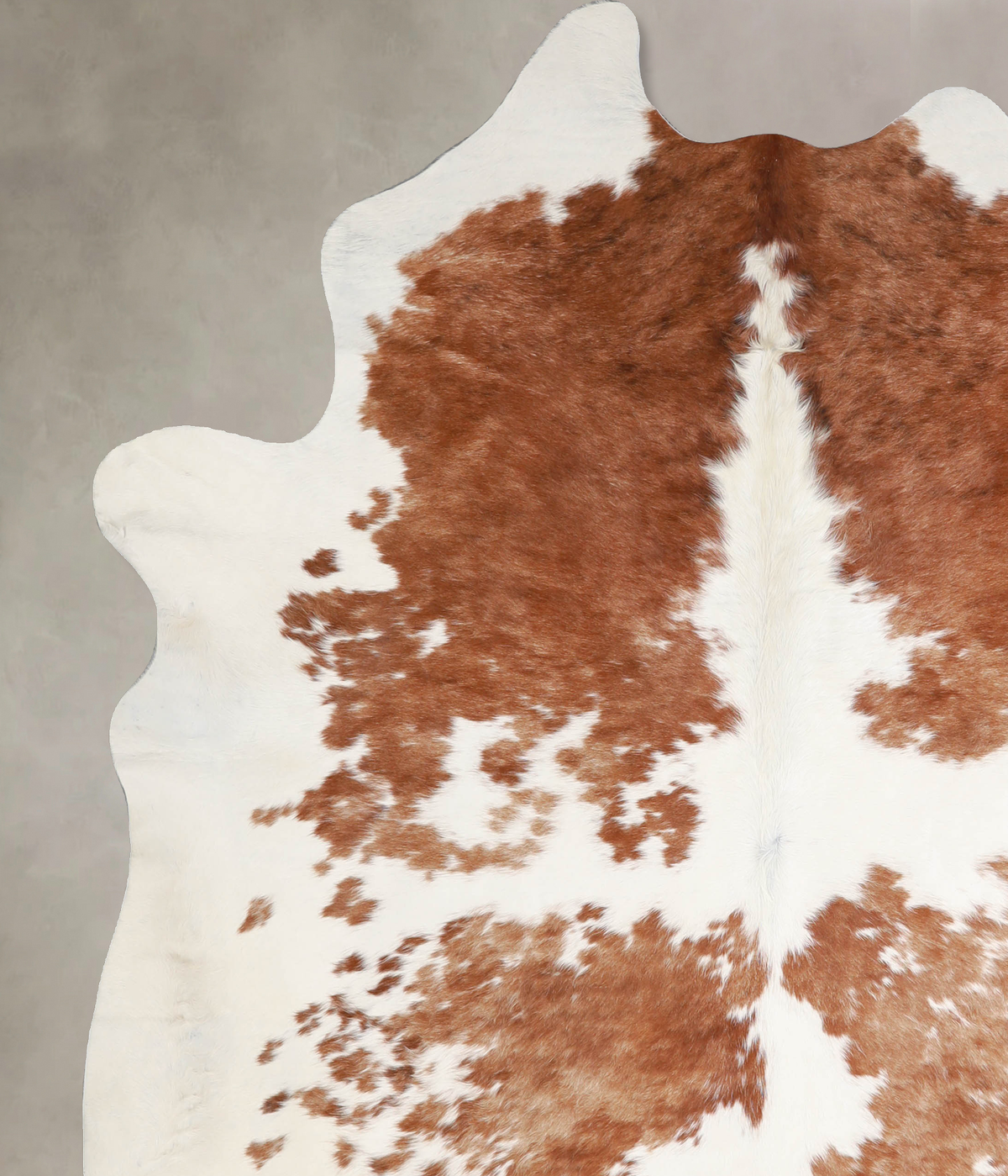 Brown and White XX-Large Brazilian Cowhide Rug 7'6"H x 6'9"W #A34346 by Hudson Hides