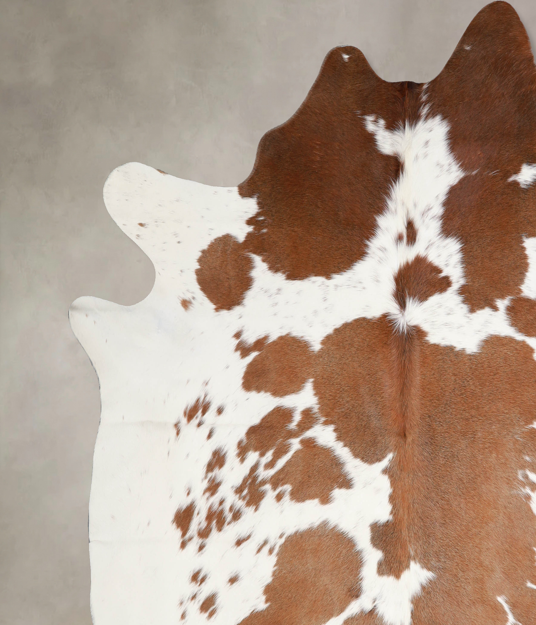 Brown and White XX-Large Brazilian Cowhide Rug 7'6"H x 7'9"W #A34400 b