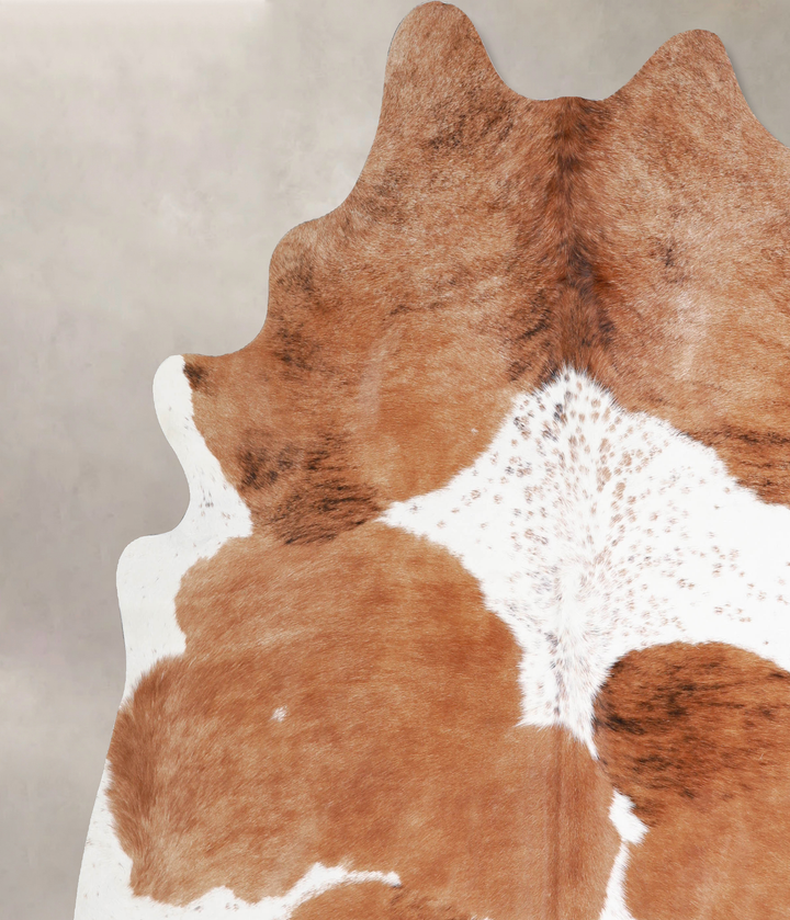 Brown and White XX-Large Brazilian Cowhide Rug 7'4"H x 7'6"W #A34403 by Hudson Hides
