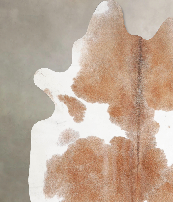 Brown and White XX-Large Brazilian Cowhide Rug 7'3"H x 7'0"W #A34412 by Hudson Hides