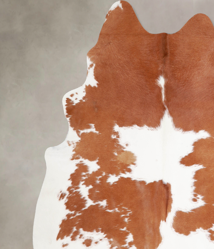 Brown and White X-Large Brazilian Cowhide Rug 6'10"H x 6'2"W #A34420 by Hudson Hides
