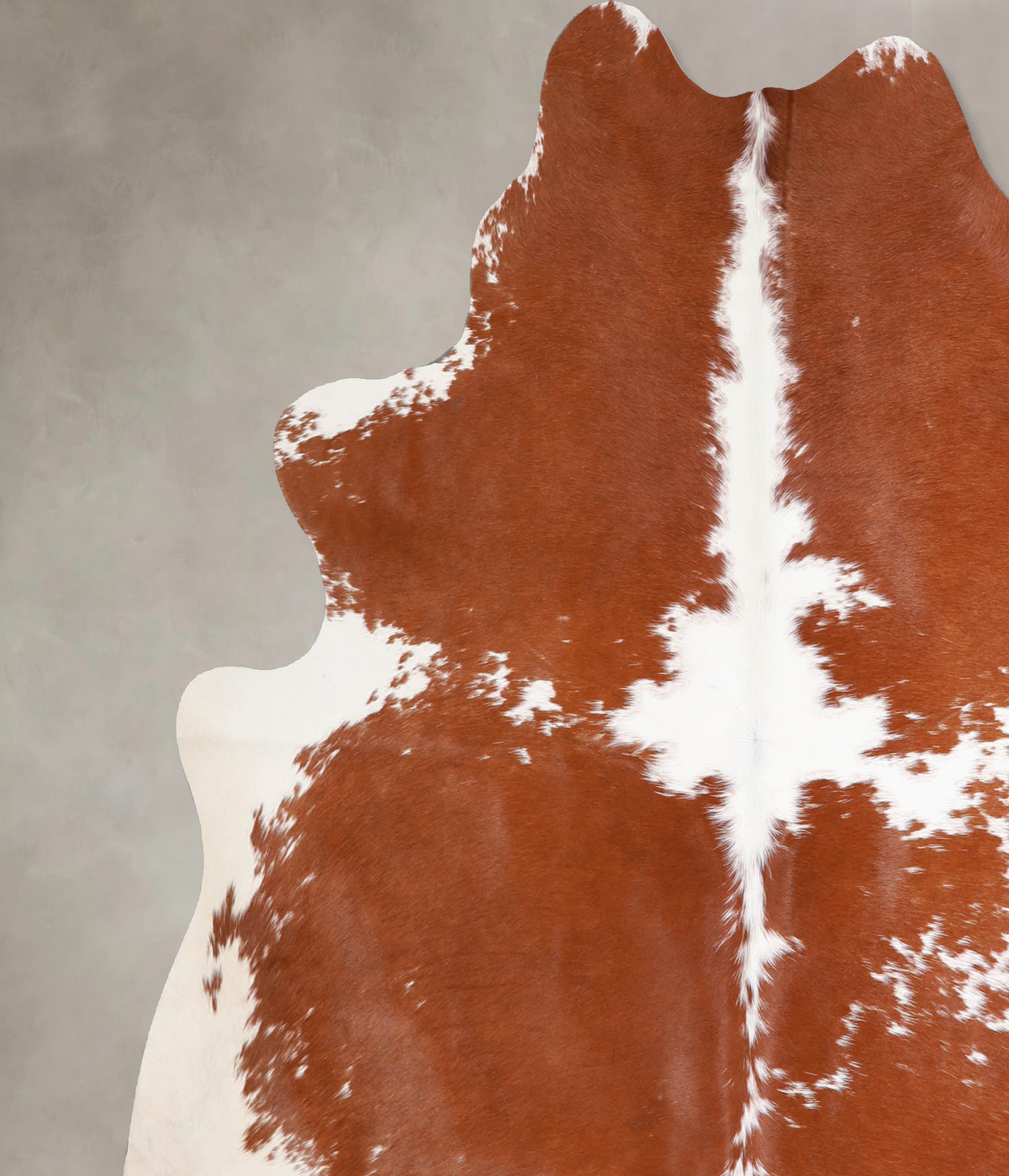 Brown and White X-Large Brazilian Cowhide Rug 6'9"H x 6'8"W #A34423 by Hudson Hides