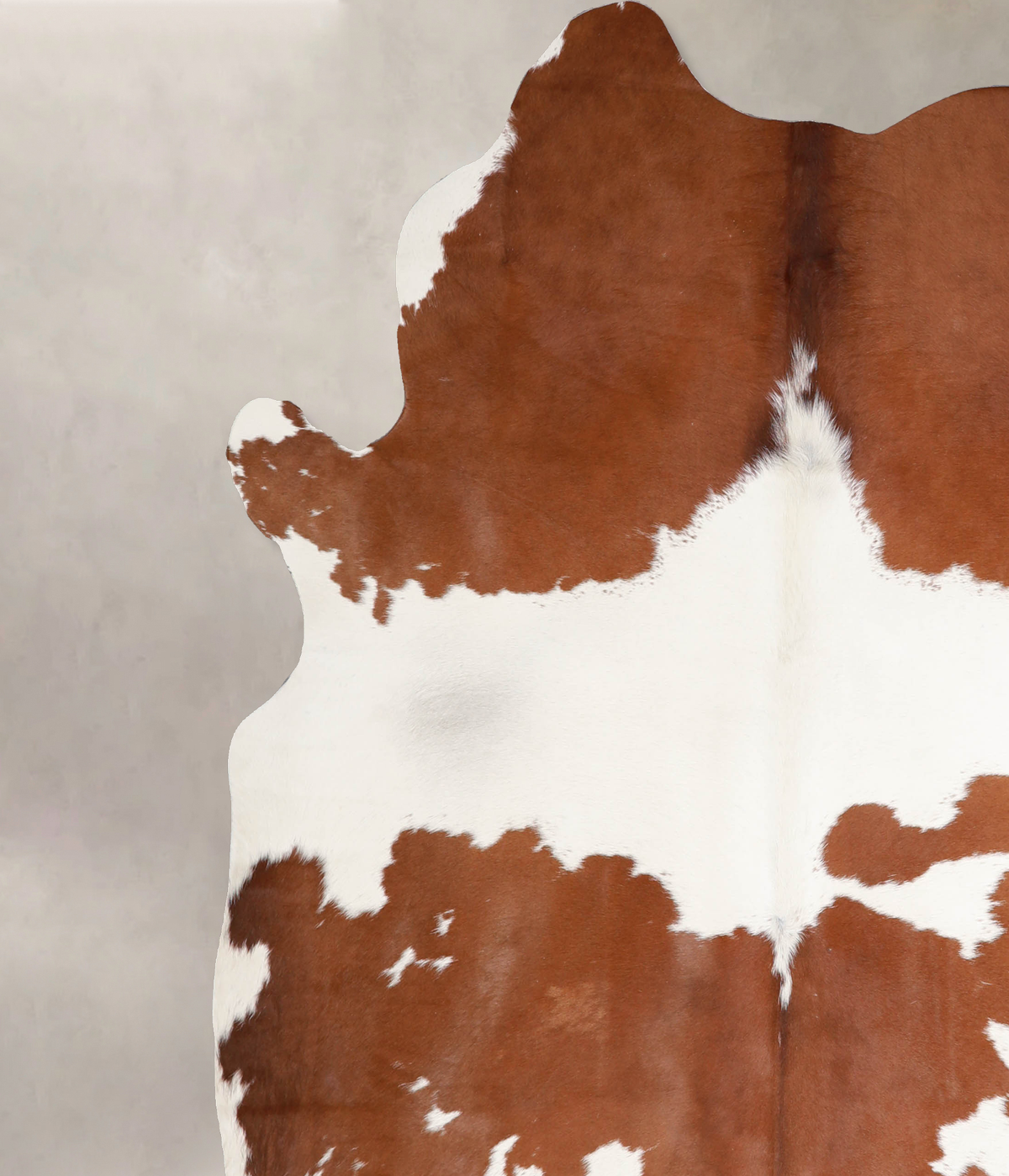 Brown and White XX-Large Brazilian Cowhide Rug 7'5"H x 6'10"W #A34432 by Hudson Hides