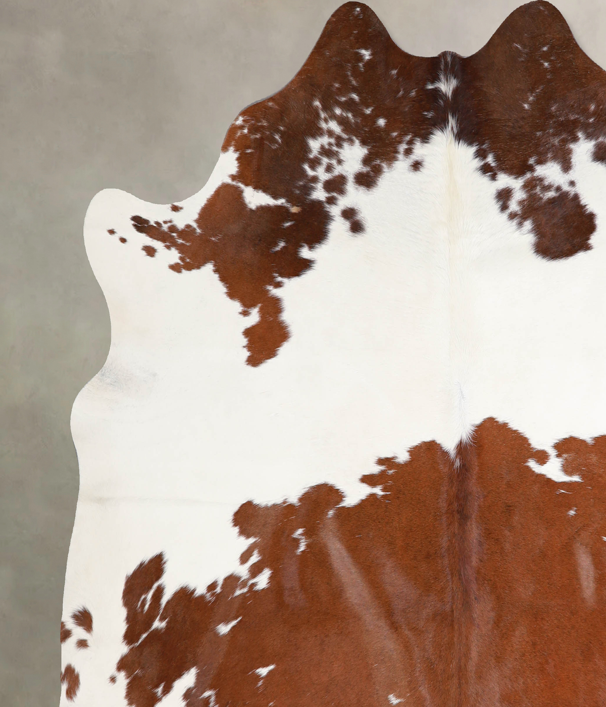 Brown and White X-Large Brazilian Cowhide Rug 6'6"H x 6'5"W #A34450 by Hudson Hides