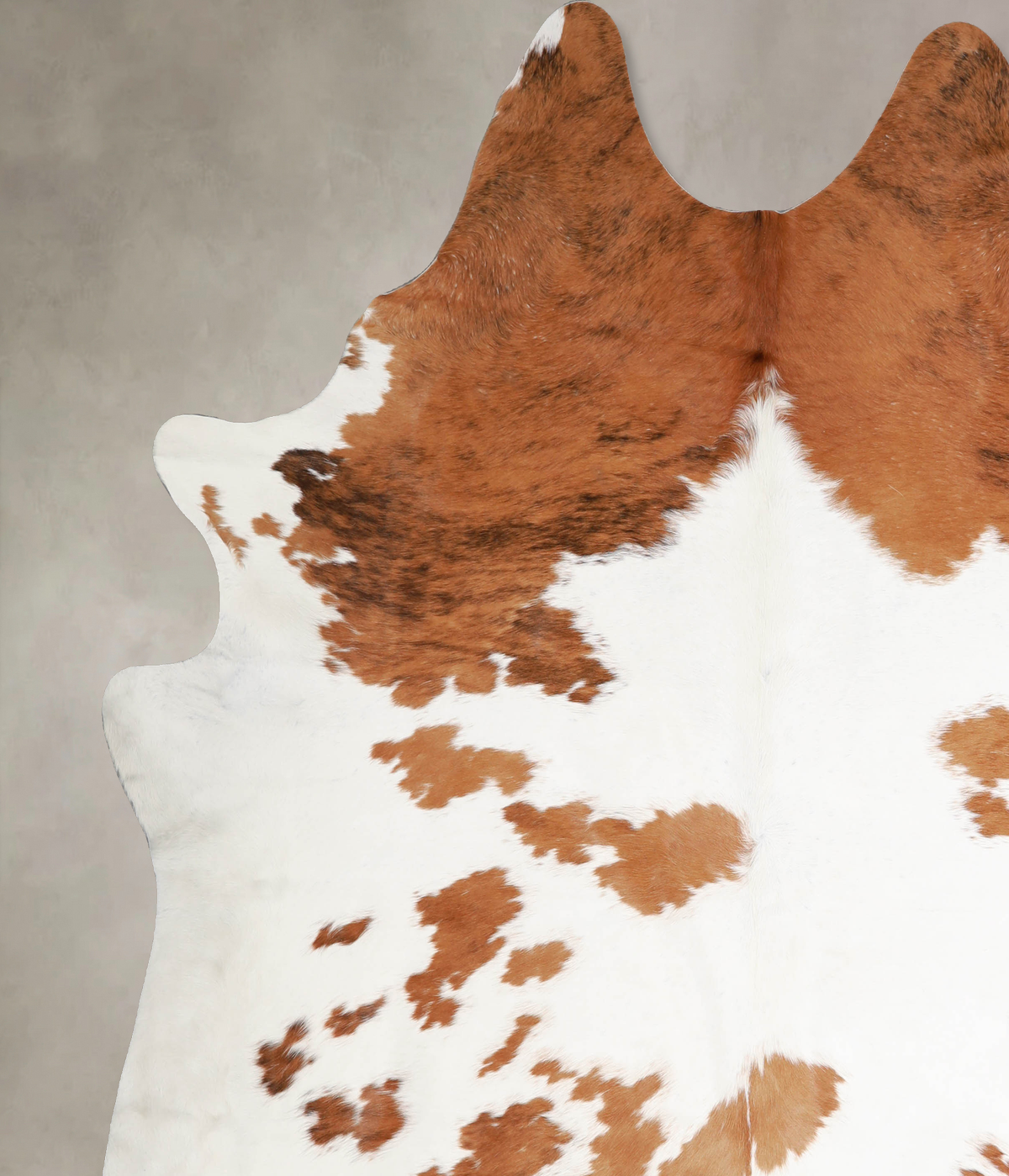 Brown and White XX-Large Brazilian Cowhide Rug 8'3"H x 7'6"W #A34485 by Hudson Hides