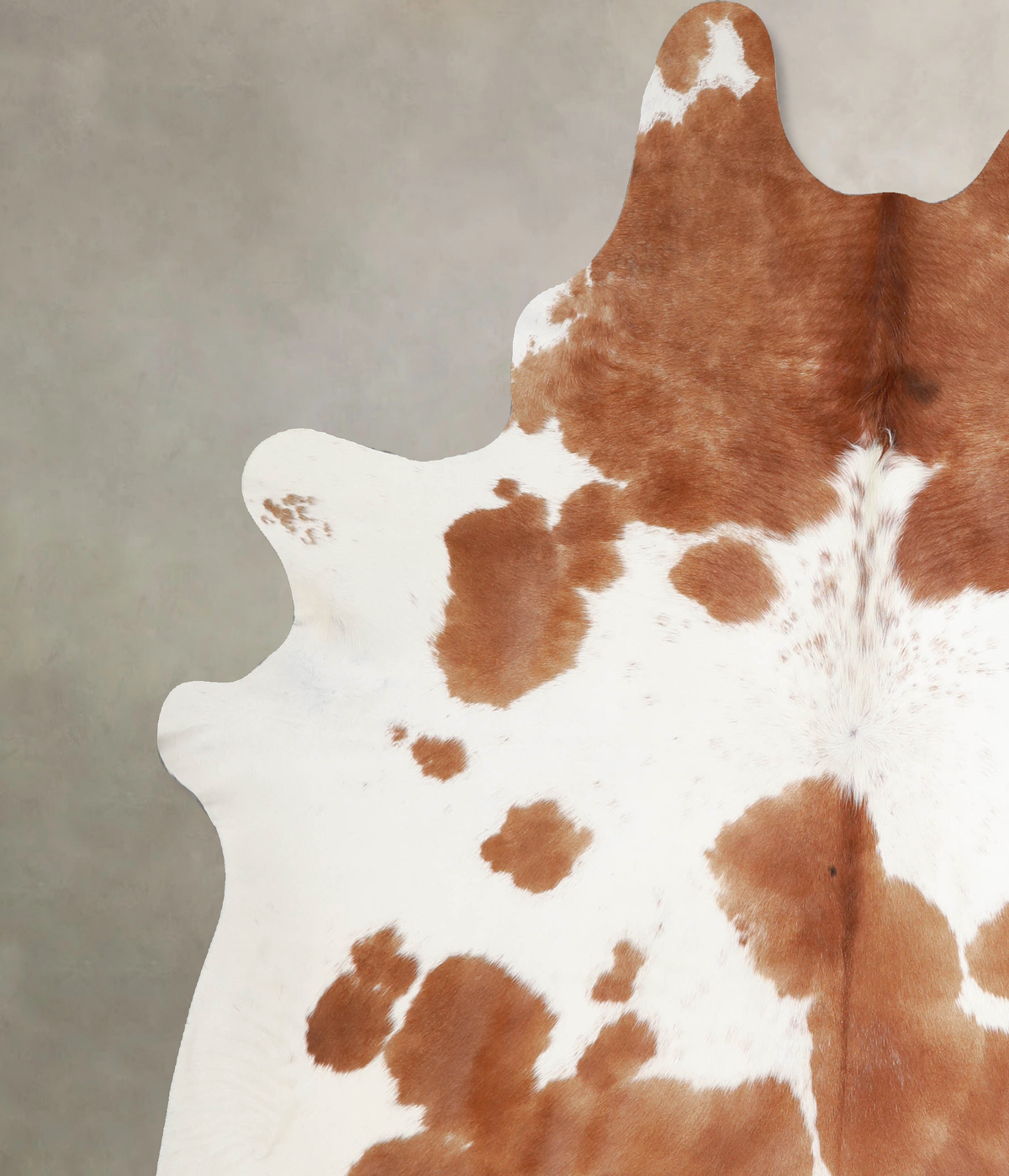Brown and White XX-Large Brazilian Cowhide Rug 7'8"H x 6'11"W #A34490 by Hudson Hides