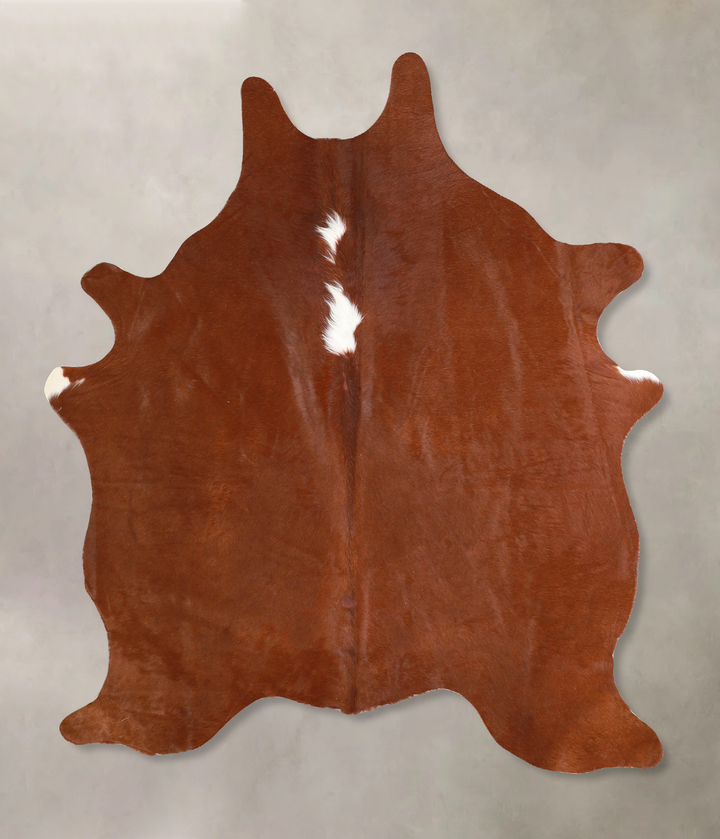Brown and White Regular Medium Brazilian Cowhide Rug 5'7"H x 4'8"W #A34841 by Hudson Hides