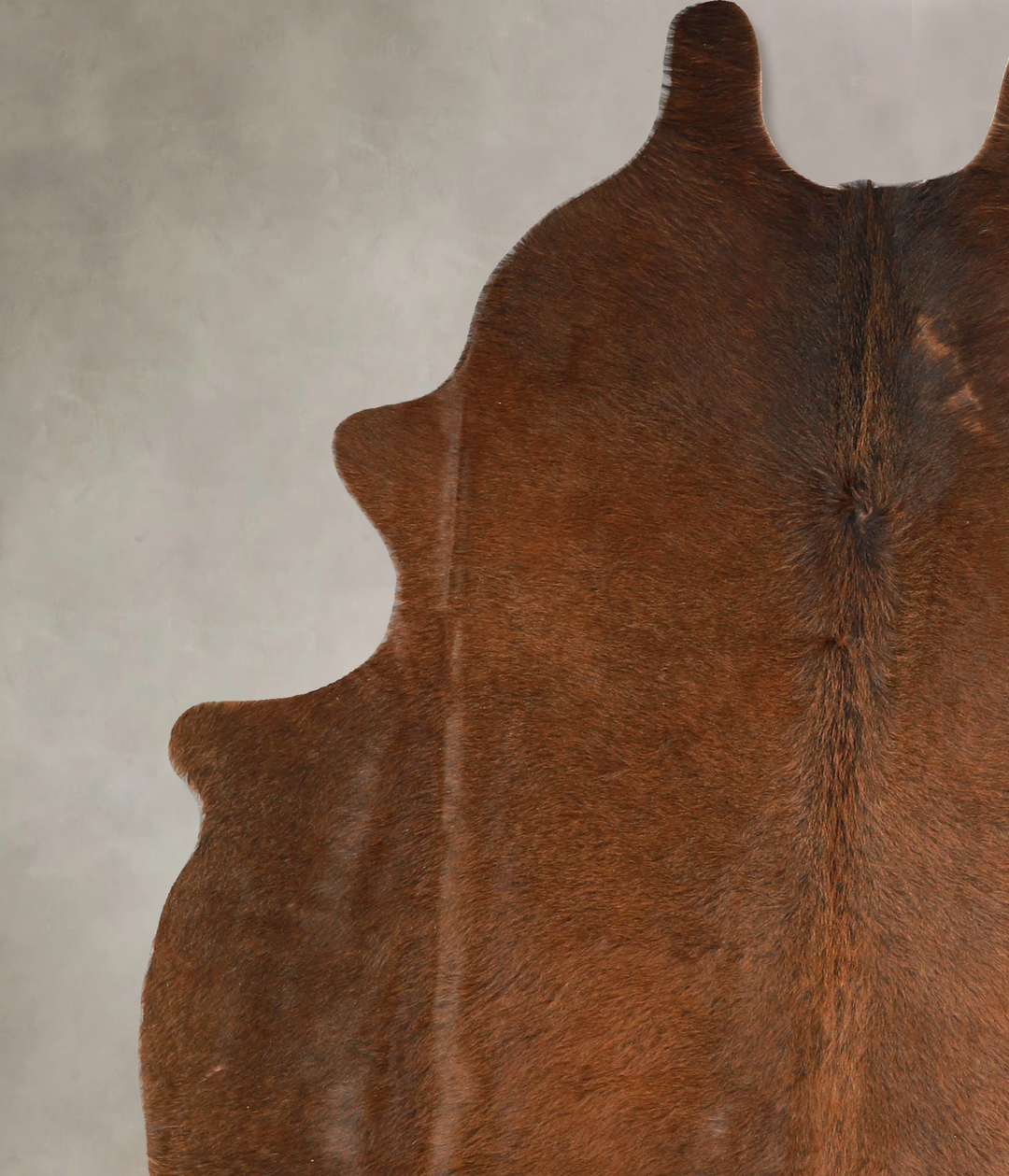 Chocolate Large Brazilian Cowhide Rug 6'4"H x 5'1"W #A35039 by Hudson 