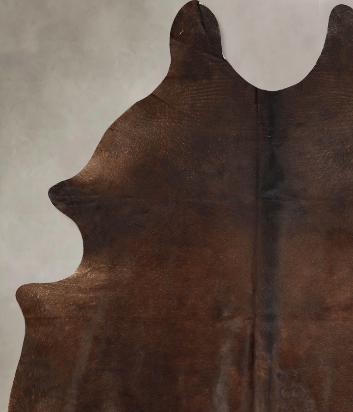 Chocolate Large Brazilian Cowhide Rug 6'8"H x 5'8"W #A35131 by Hudson Hides