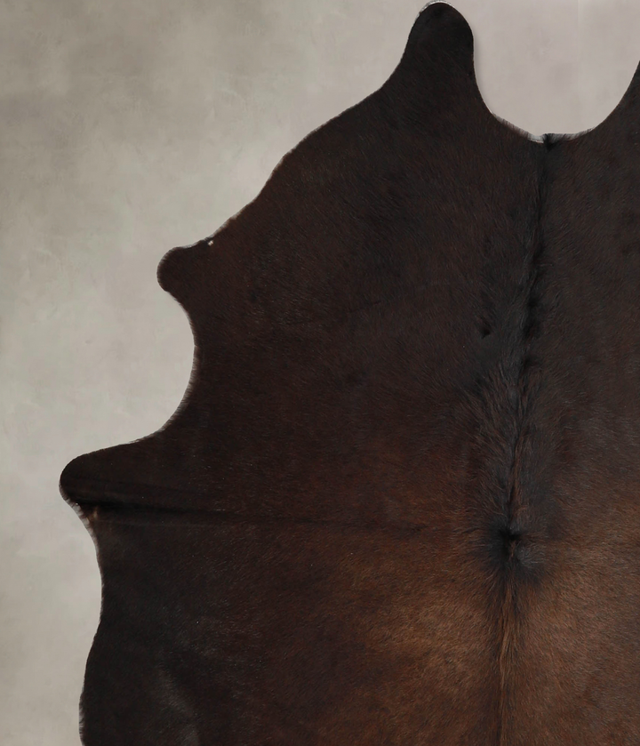 Chocolate Large Brazilian Cowhide Rug 6'0"H x 5'3"W #A35273 by Hudson Hides
