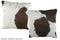 Chocolate 16
