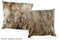 Light Brindle 16