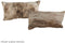 Light Brindle 12