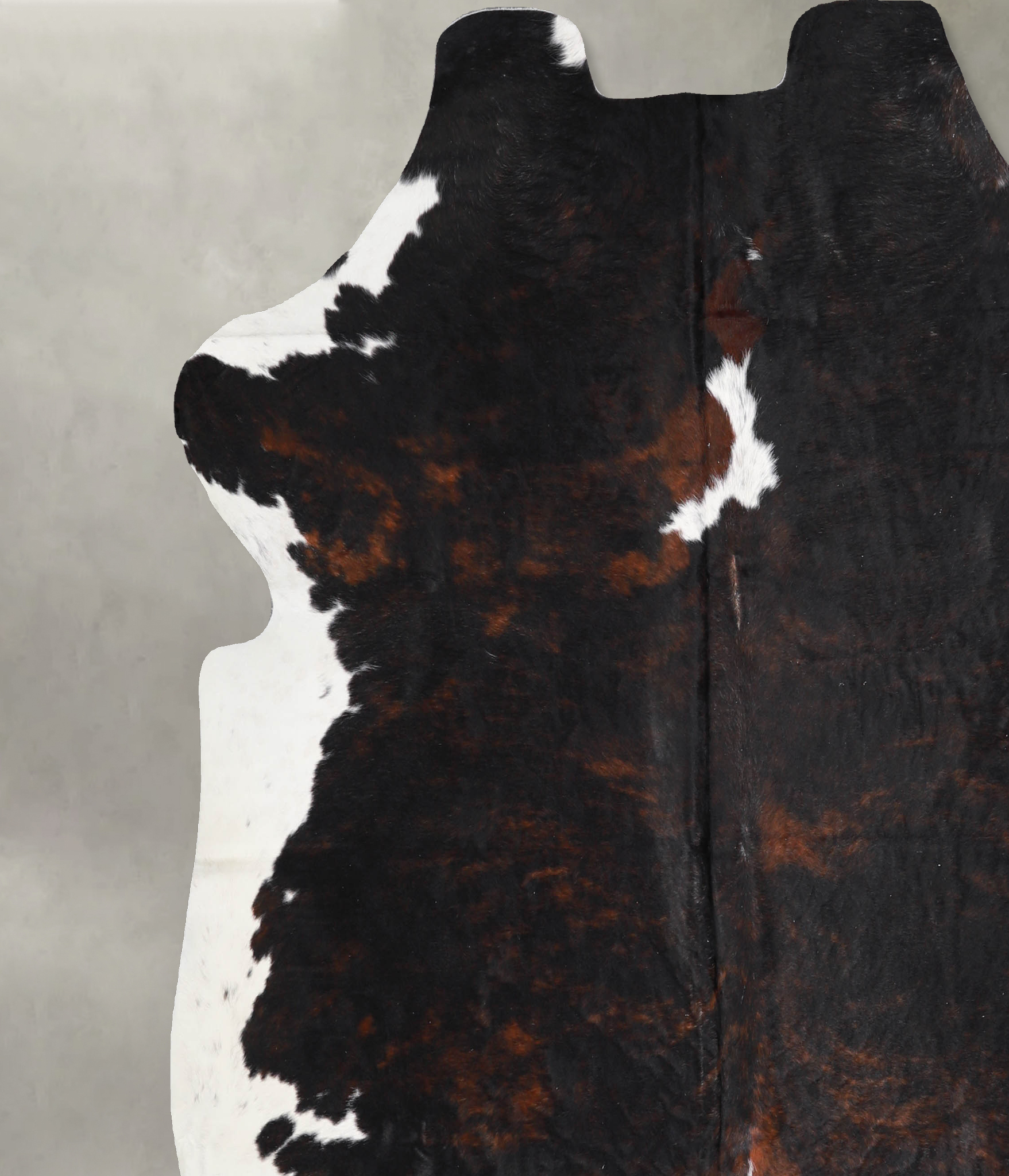 Tricolor Cowhide Rug #A39789