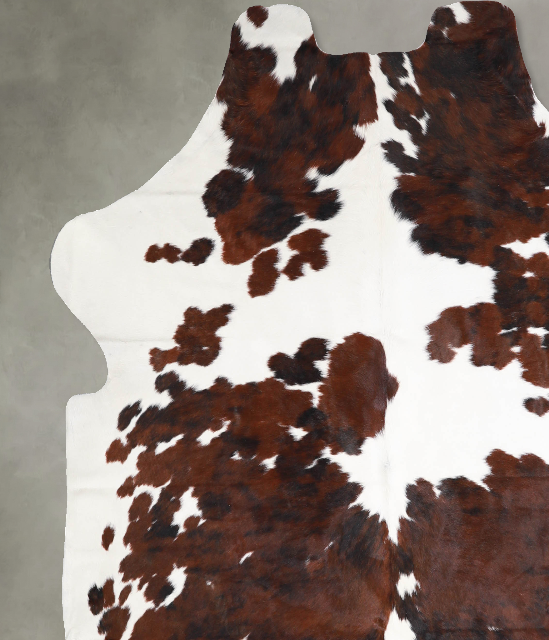 Tricolor Cowhide Rug #A39868