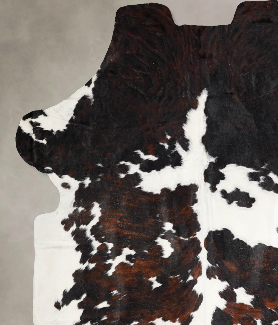 Tricolor X-Large European Cowhide Rug 7'6"H x 6'7"W #A39929 by Hudson 