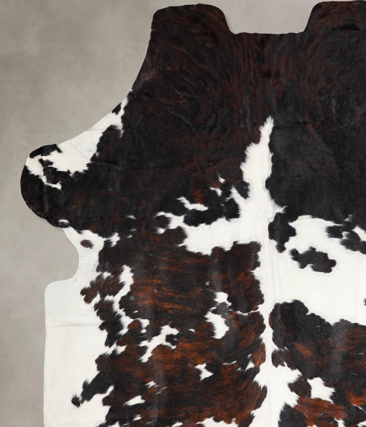 Tricolor X-Large European Cowhide Rug 7'6"H x 6'7"W #A39929 by Hudson Hides