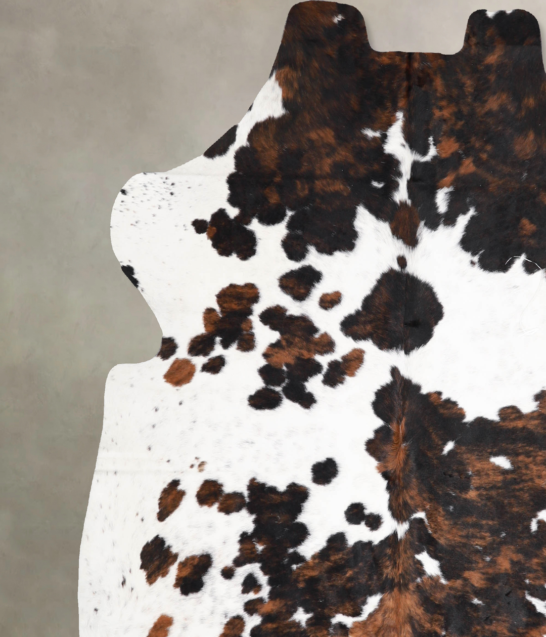 Tricolor X-Large European Cowhide Rug 6'7"H x 6'2"W #A39936 by Hudson 