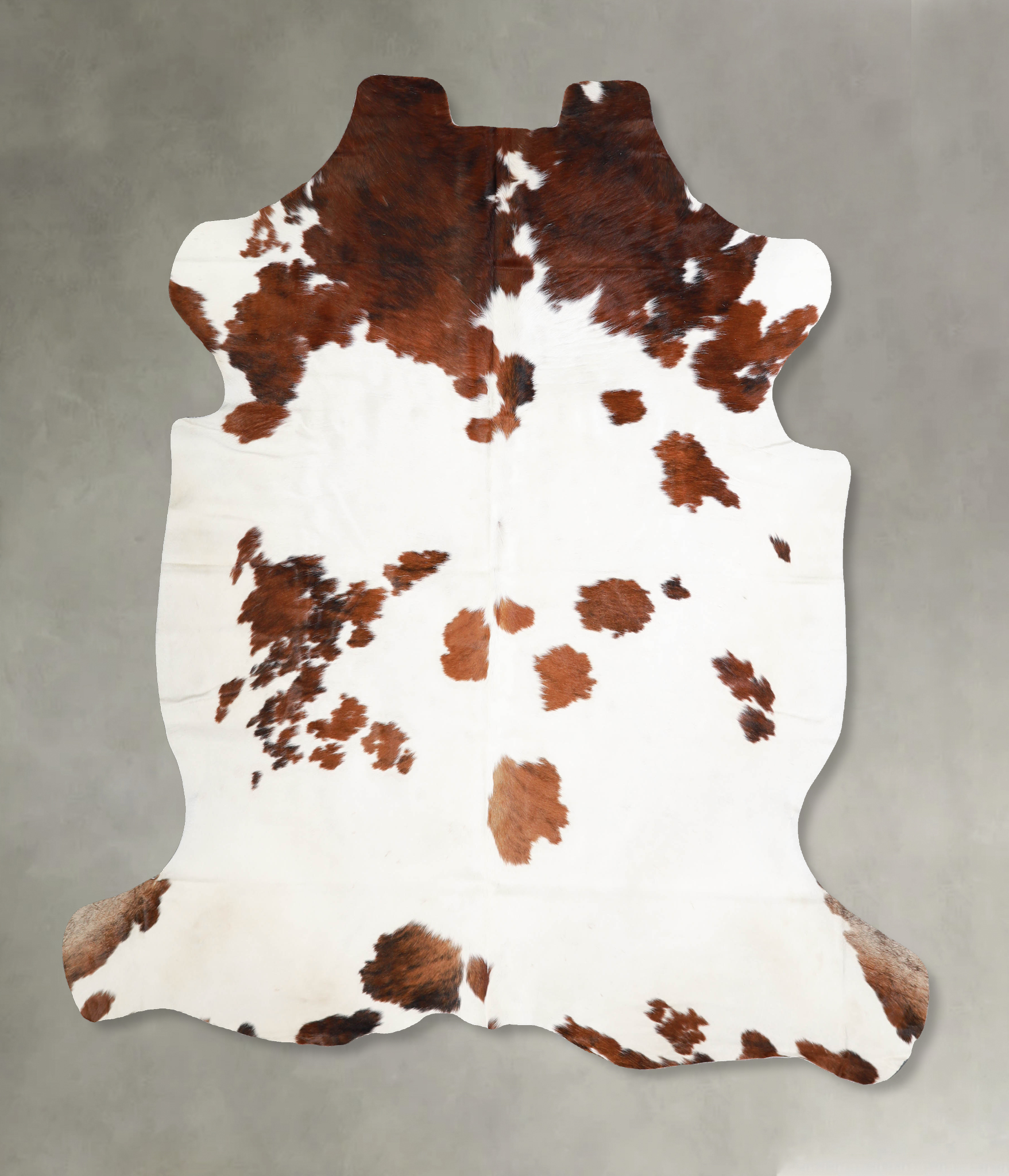 Tricolor Cowhide Rug #A39938