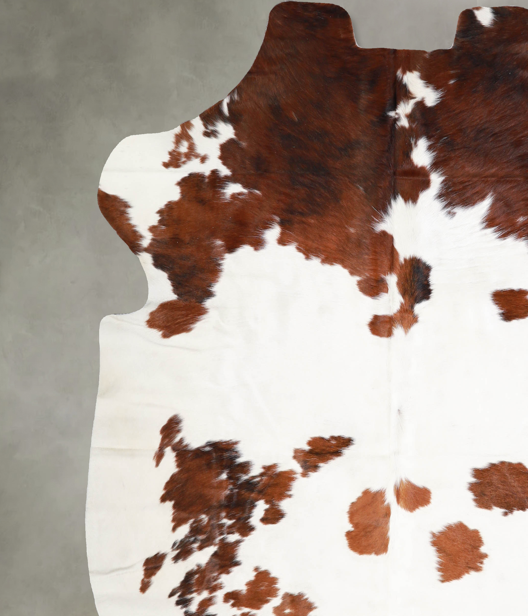 Tricolor Cowhide Rug #A39938