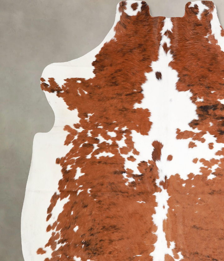 Tricolor X-Large European Cowhide Rug 6'5"H x 6'7"W #A39941 by Hudson Hides