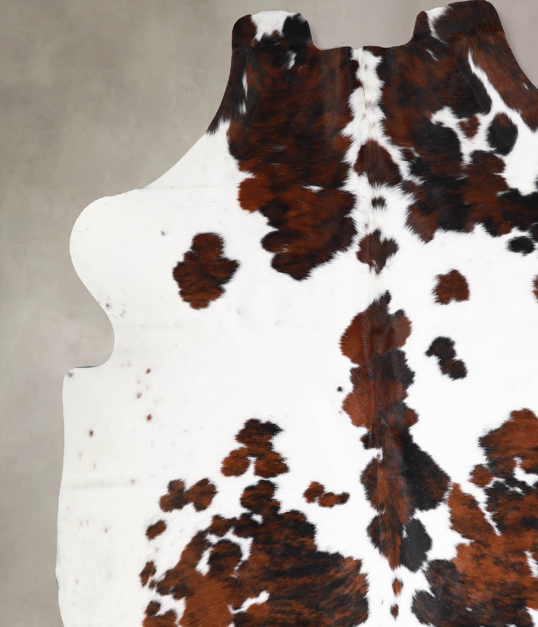 Tricolor X-Large European Cowhide Rug 6'10"H x 6'6"W #A39944 by Hudson