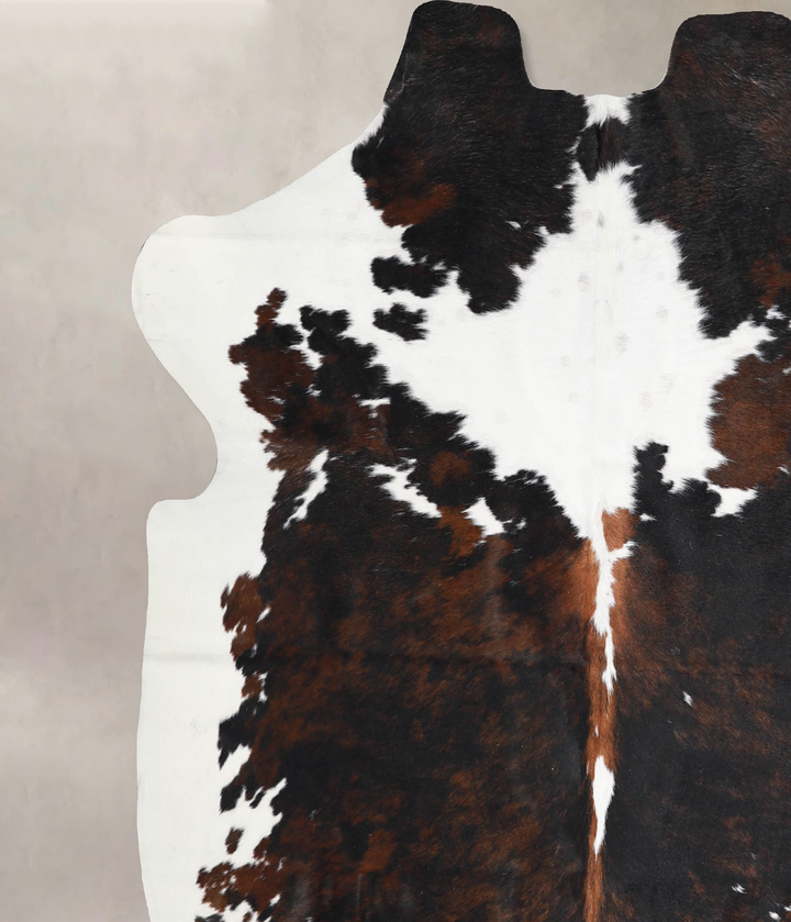 Tricolor X-Large European Cowhide Rug 6'4"H x 6'6"W #A39953 by Hudson Hides