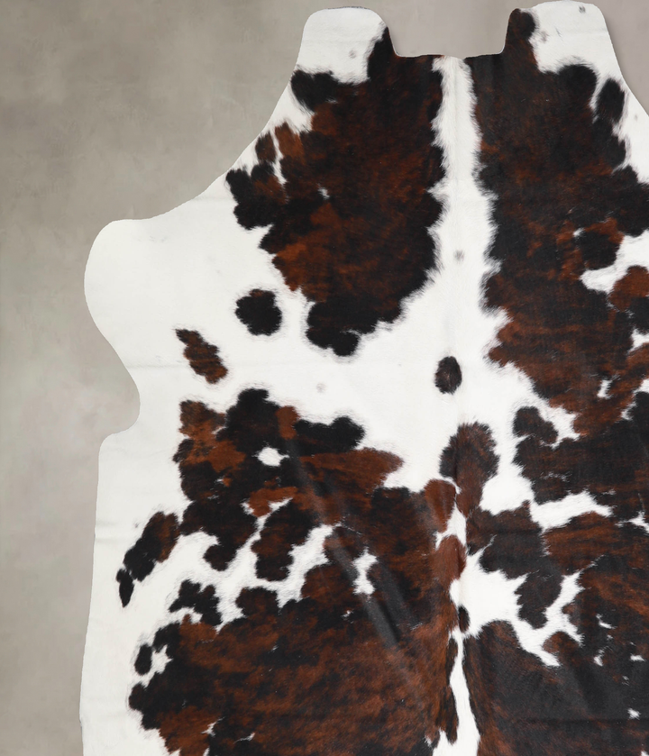 Tricolor X-Large European Cowhide Rug 6'11"H x 6'10"W #A39987 by Hudson Hides