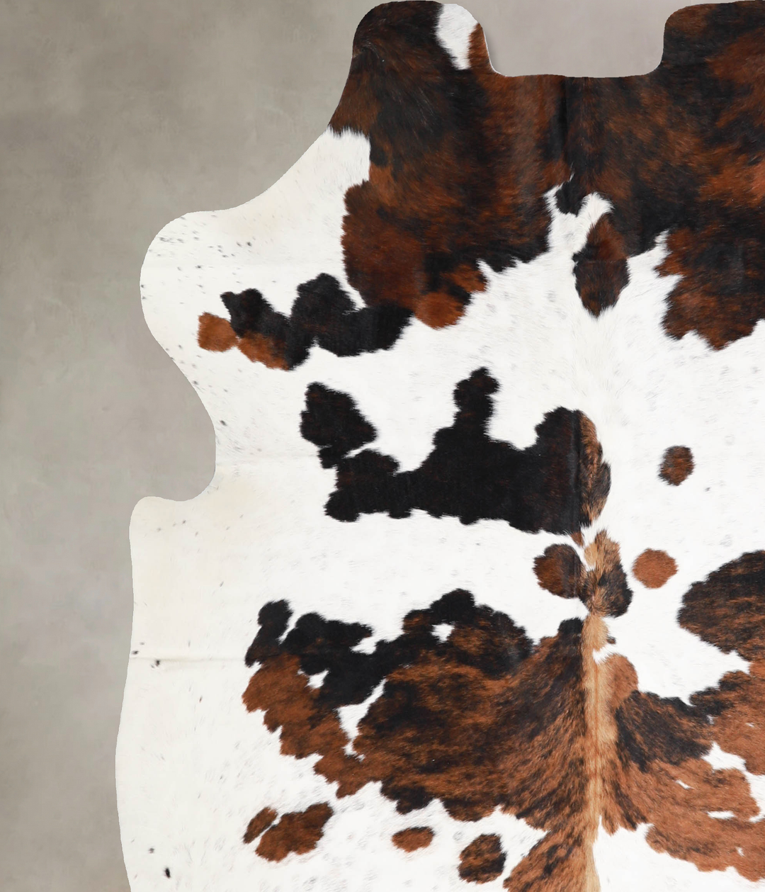 Tricolor X-Large European Cowhide Rug 6'7"H x 6'1"W #A39990 by Hudson 
