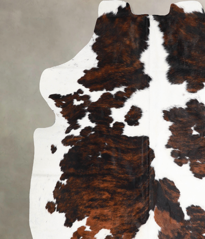 Tricolor X-Large European Cowhide Rug 6'9"H x 6'1"W #A40010 by Hudson Hides