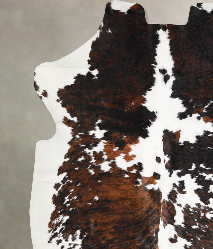 Tricolor X-Large European Cowhide Rug 6'8"H x 6'4"W #A40027 by Hudson Hides