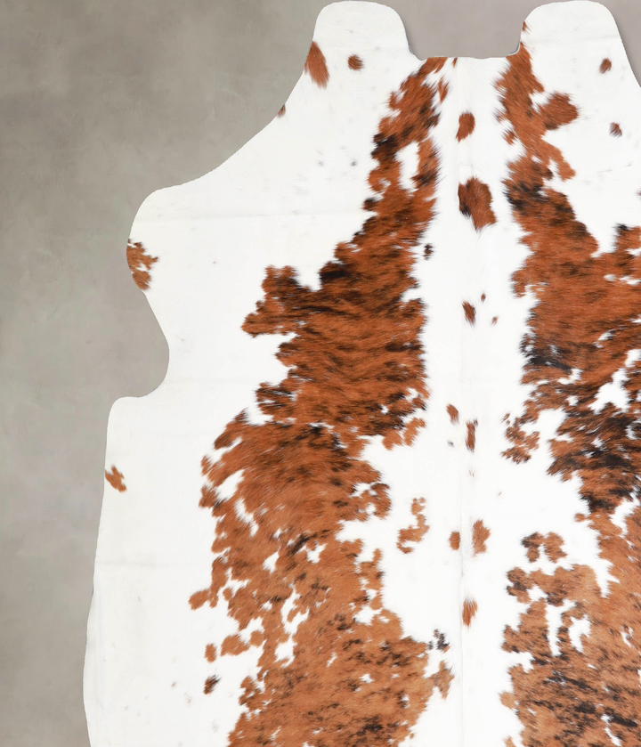 Tricolor X-Large European Cowhide Rug 6'8"H x 6'11"W #A40028 by Hudson Hides