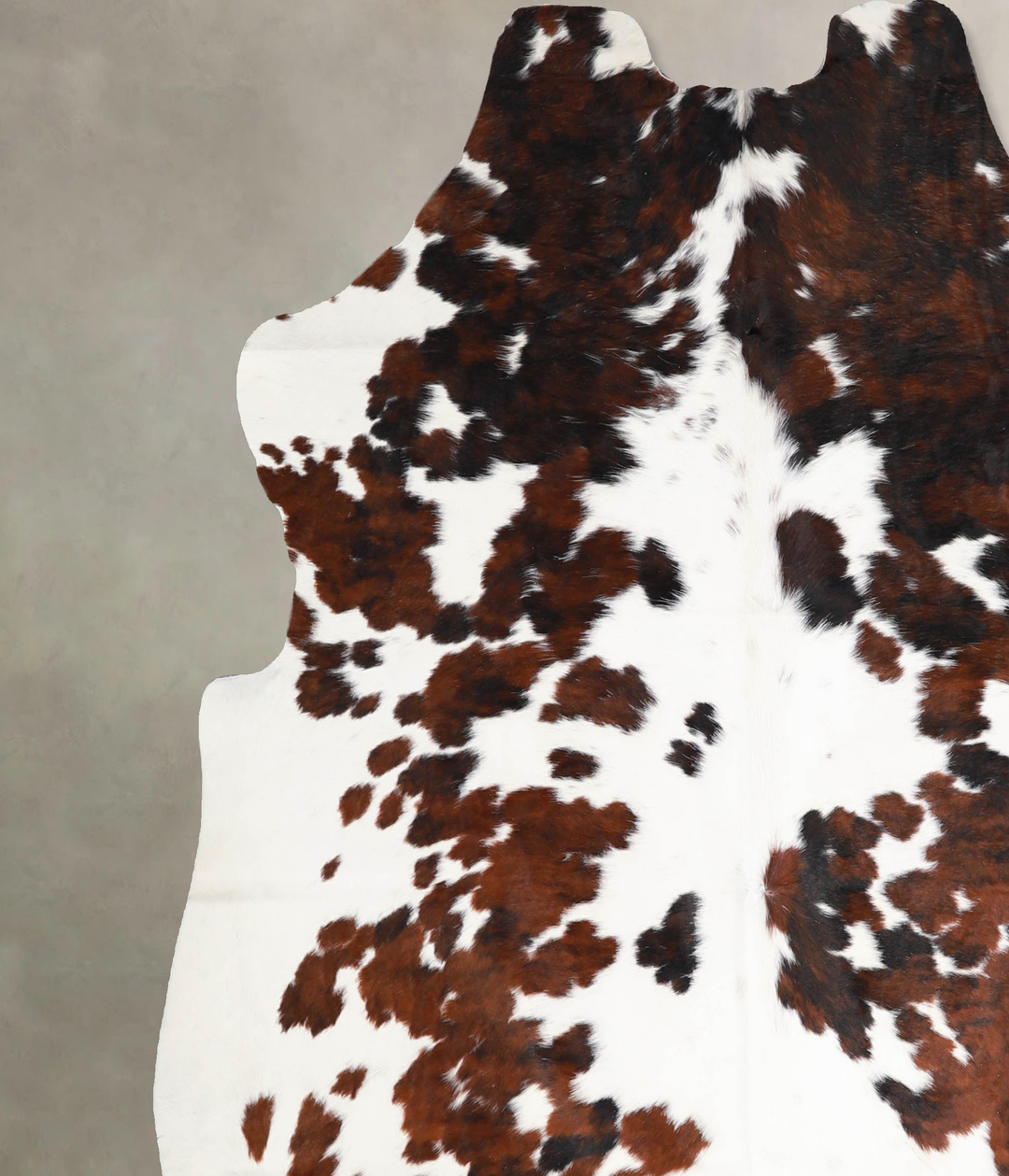 Tricolor X-Large European Cowhide Rug 6'6"H x 6'3"W #A40035 by Hudson 