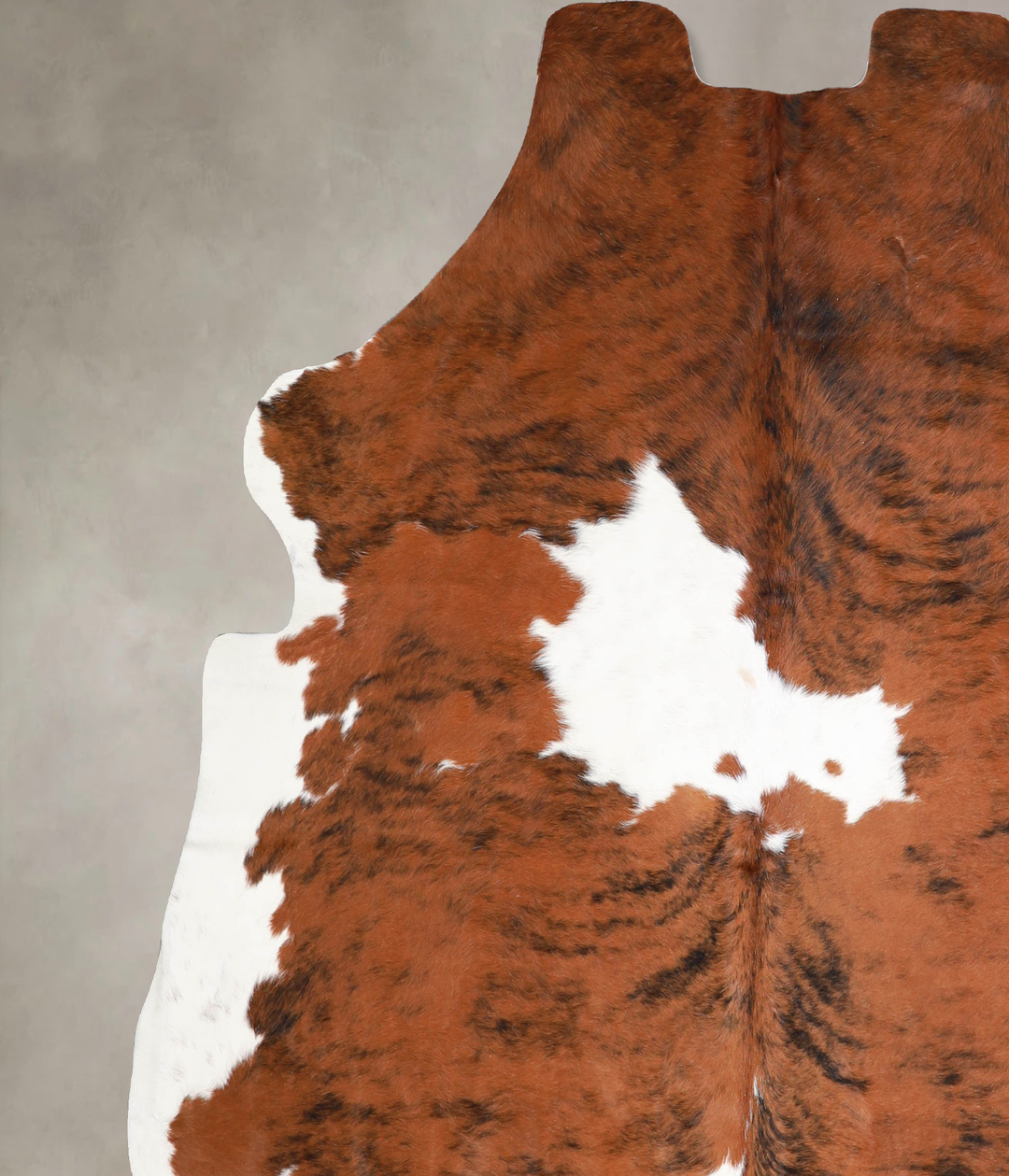 Tricolor X-Large European Cowhide Rug 6'10"H x 6'6"W #A40038 by Hudson