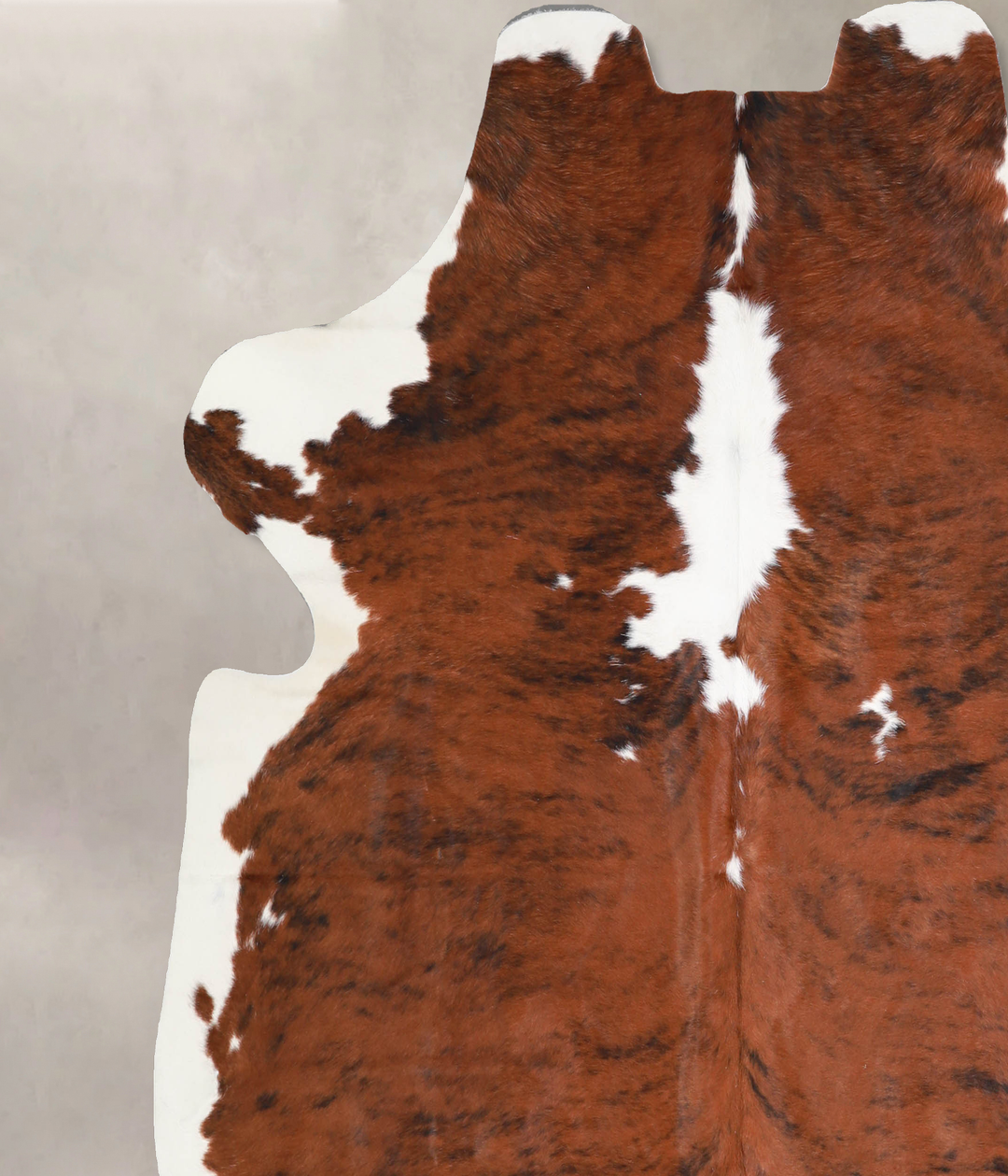 Tricolor X-Large European Cowhide Rug 6'8"H x 6'8"W #A40044 by Hudson 