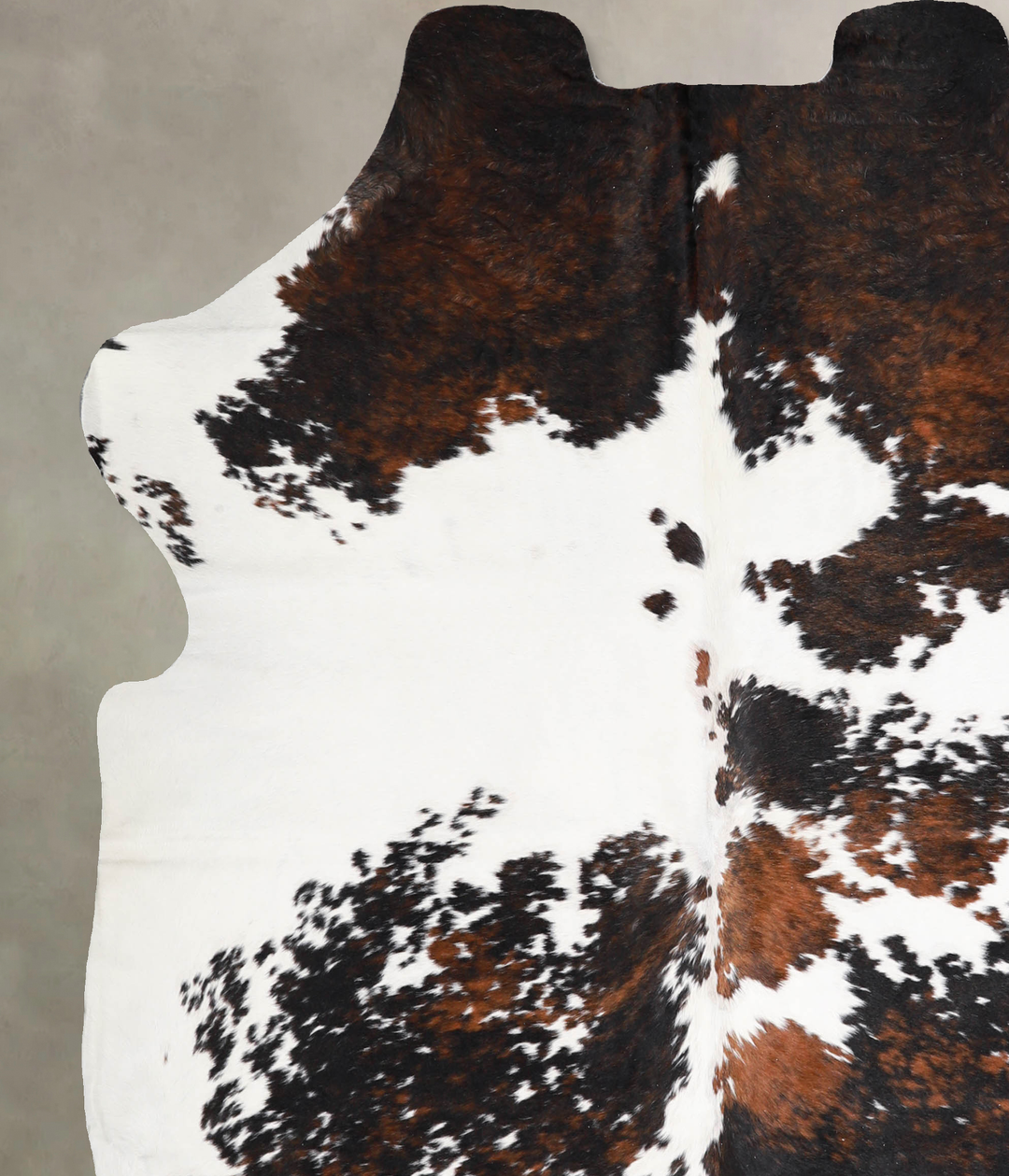 Tricolor X-Large European Cowhide Rug 6'10"H x 6'2"W #A40060 by Hudson