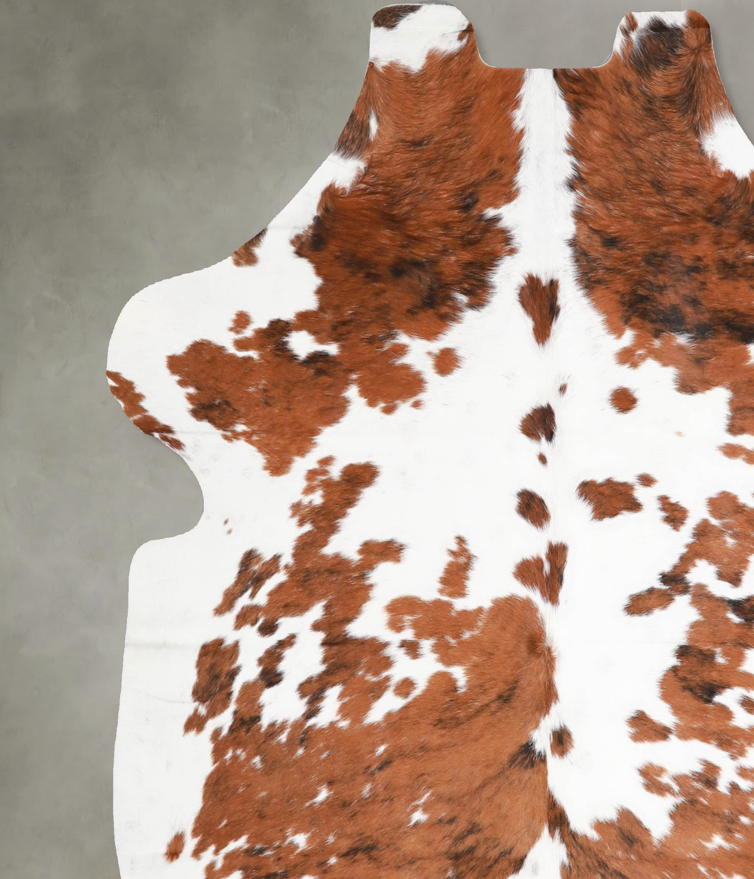 Tricolor Large European Cowhide Rug 6'4"H x 5'11"W #A40072 by Hudson H
